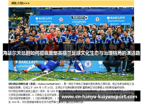 海瑟尔关悲剧如何彻底重塑英格兰足球文化生态与治理格局的演进路 海瑟尔关悲剧如何彻底重塑英格兰足球文化生态与治理格局的演进路