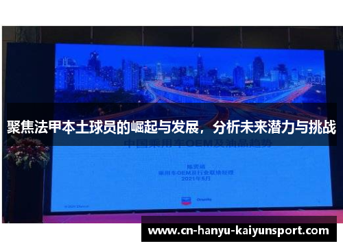 聚焦法甲本土球员的崛起与发展，分析未来潜力与挑战
