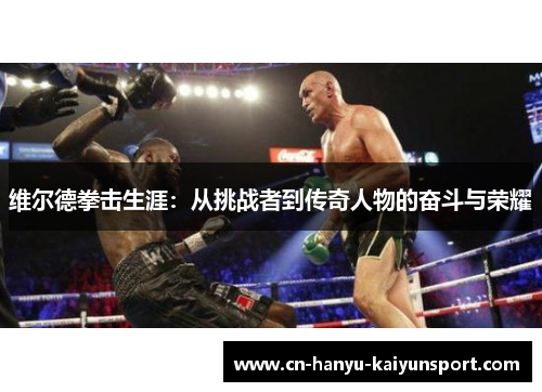 维尔德拳击生涯：从挑战者到传奇人物的奋斗与荣耀